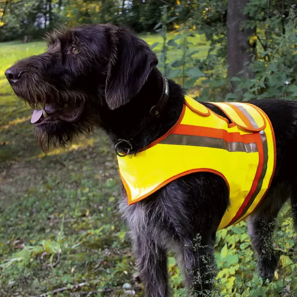 AKAH - Sikkerheds refleksvest til hunde