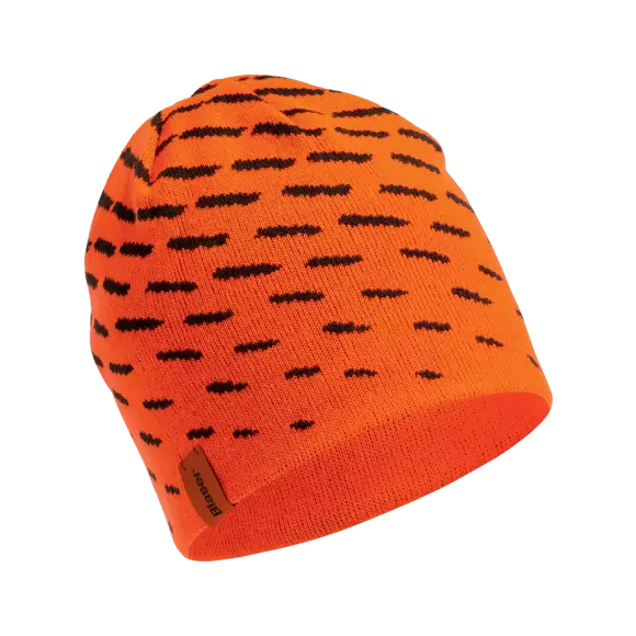 Blaser Reversible Beanie