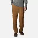 Columbia Silver Ridge Convertible pants