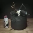 rensning af trofæ