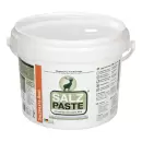 Saltpasta til vildt