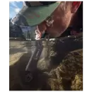 LifeStraw Peak Personal