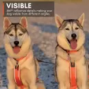 hundesele med refleks hundesele med refleks