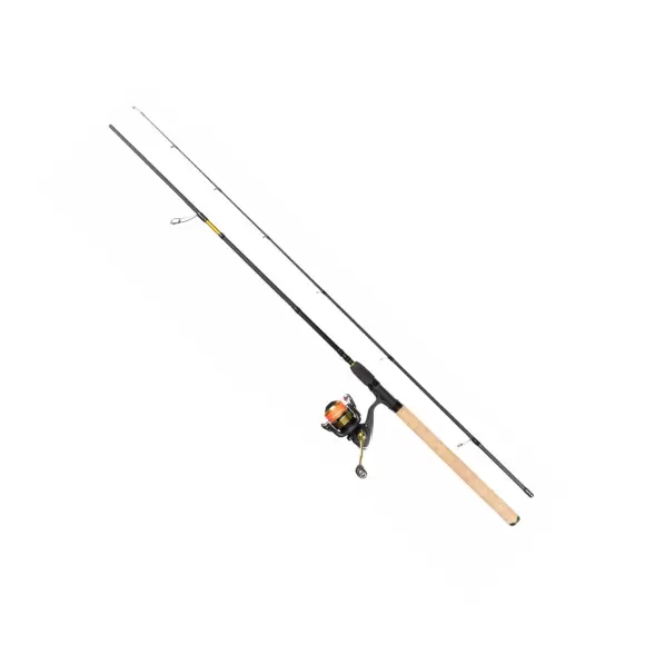 Daiwa RS Procaster RS3000-C/PCR902MLFS fiskesæt
