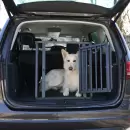 Vacation Transportbur – Sikker og nem transport af din hund