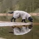 badekåbe til hunde badekåbe til hunde