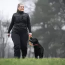 NonStop Dogwear - NonStop Retriever line 1,6 m. 8 mm orange