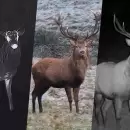 HikMicro - Hik Micro Habrok 4K 2.0