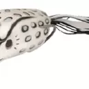 Rapture Popper Frog Albino