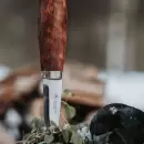 Brusletto - Brusletto Rypa