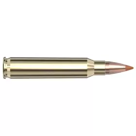 Hornady NTX .223 Rem blyfri varmint ammo