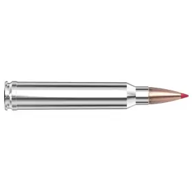 Hornady .300 Win Mag. 180 gr. CX Outfitter