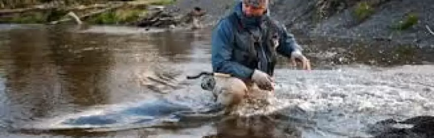 Henrik Mortensen Flyfishing